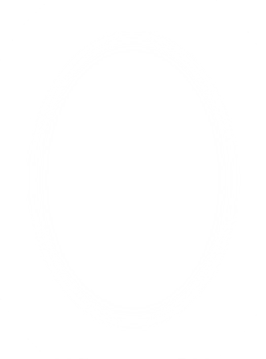 TL7071-box Filtre TL7071