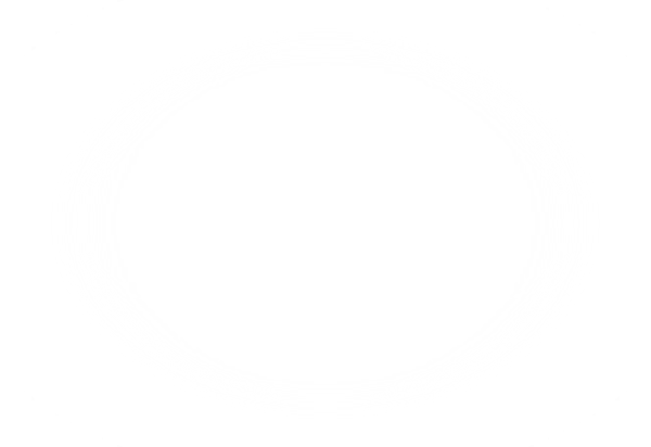 TL7175-box Filtre TL7175